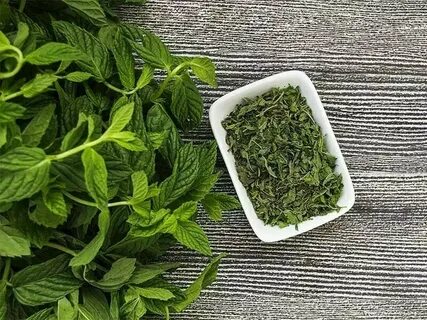 قیمت روز بازار سبزی نعنا خشک صادراتی + خرید آنلاین